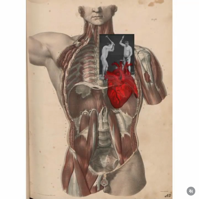 Screenshot 2026-01-05 at 16-56-14 Collages animés (@collages_animes) • Photos et vidéos Instagram